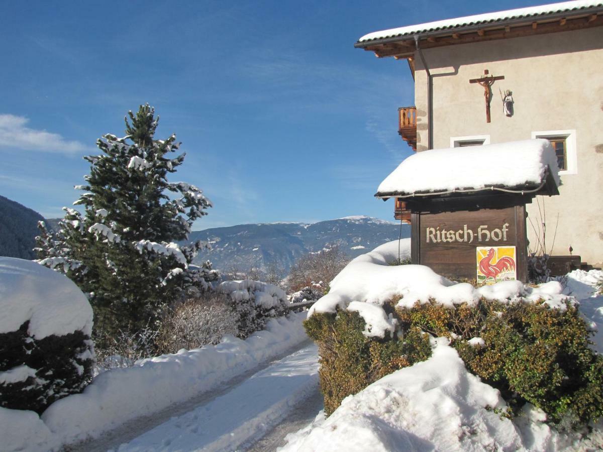 라이온 Ritschhof 게스트하우스 외부 사진